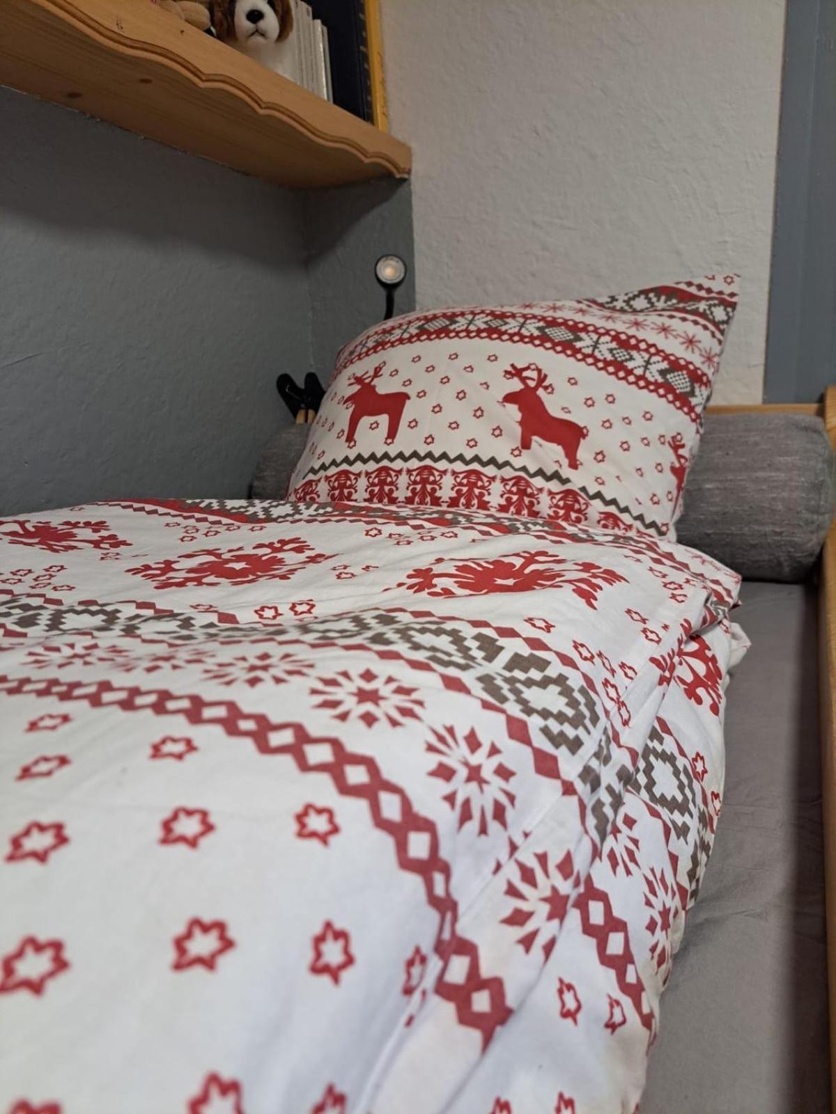 Studio 2 Alpes Style Chalet Au Pied De Telesiege Du Diable Les Deux Alpes Ngoại thất bức ảnh