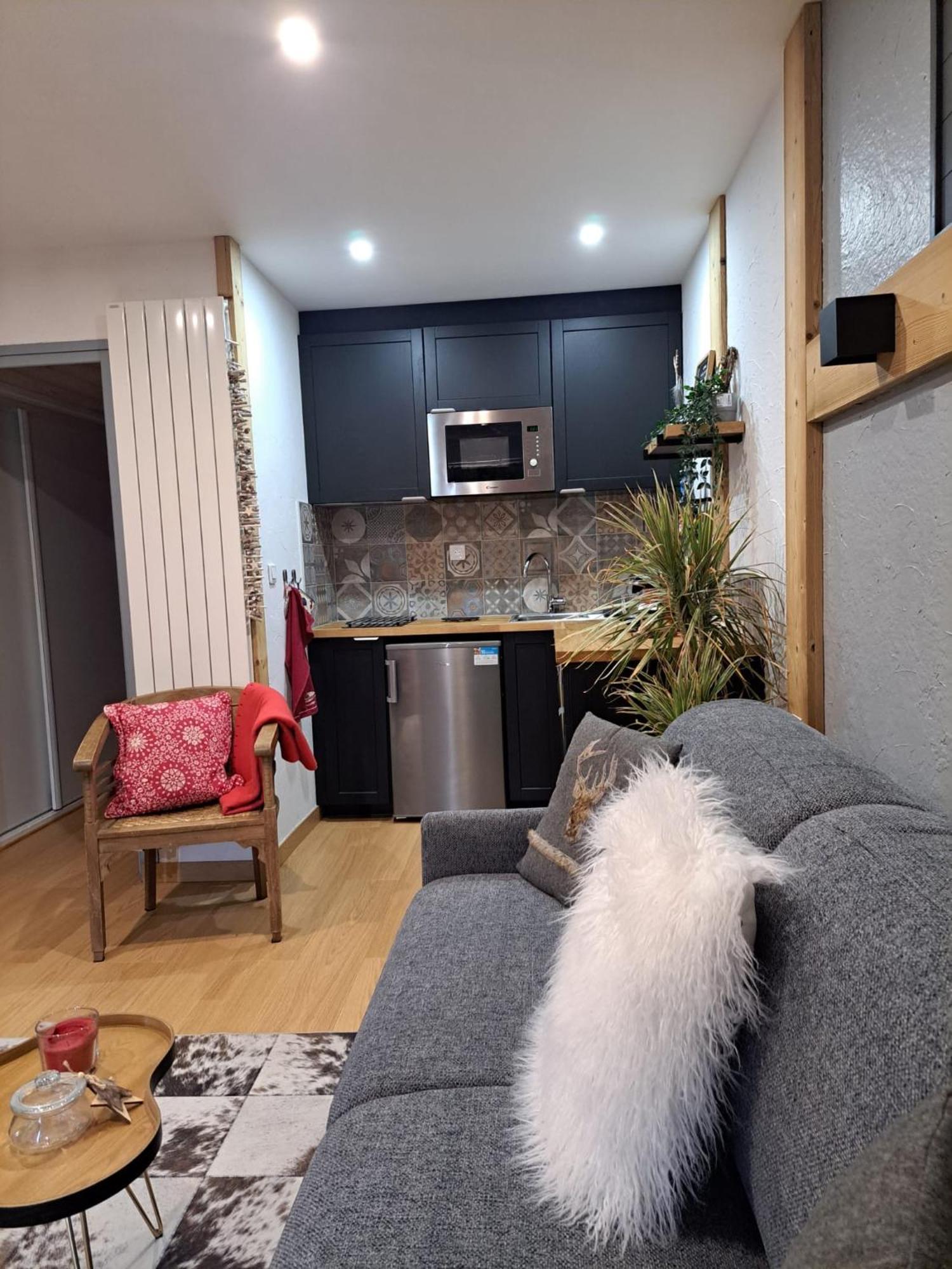Studio 2 Alpes Style Chalet Au Pied De Telesiege Du Diable Les Deux Alpes Ngoại thất bức ảnh